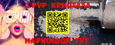 тгк Кингисепп