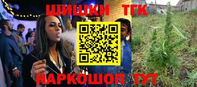 тгк Кингисепп