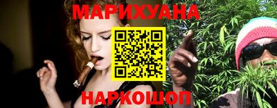 тгк Кингисепп