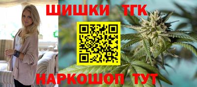 тгк Кингисепп