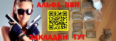 тгк Кингисепп