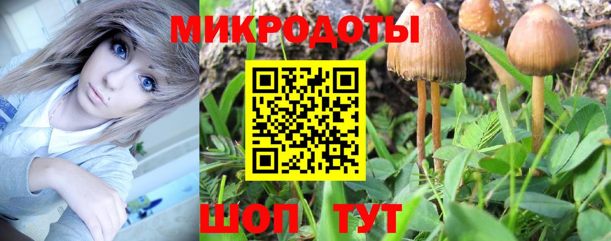 Галлюциногенные грибы ЛСД Кохма