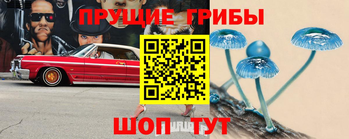 Кохма  Галлюциногенные грибы Psilocybe  Вход с VPN 